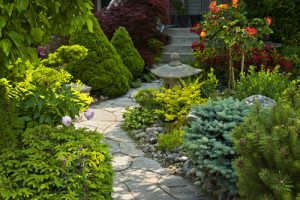 landscaping front yard