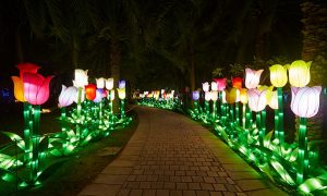 6662015_6_glowgarden_base