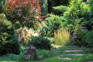 Gardening Secrets