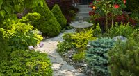 landscaping front yard