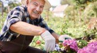 Cutting a flowers for my wife