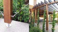 Modern timber trellis with climbing plants dividing an outdoor space