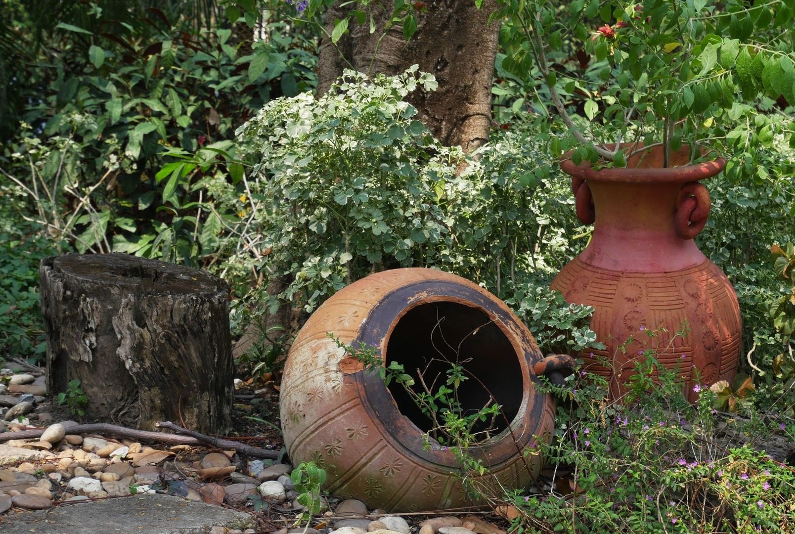 Weathered terracotta urns anchor a lush garden border beside a tree stump